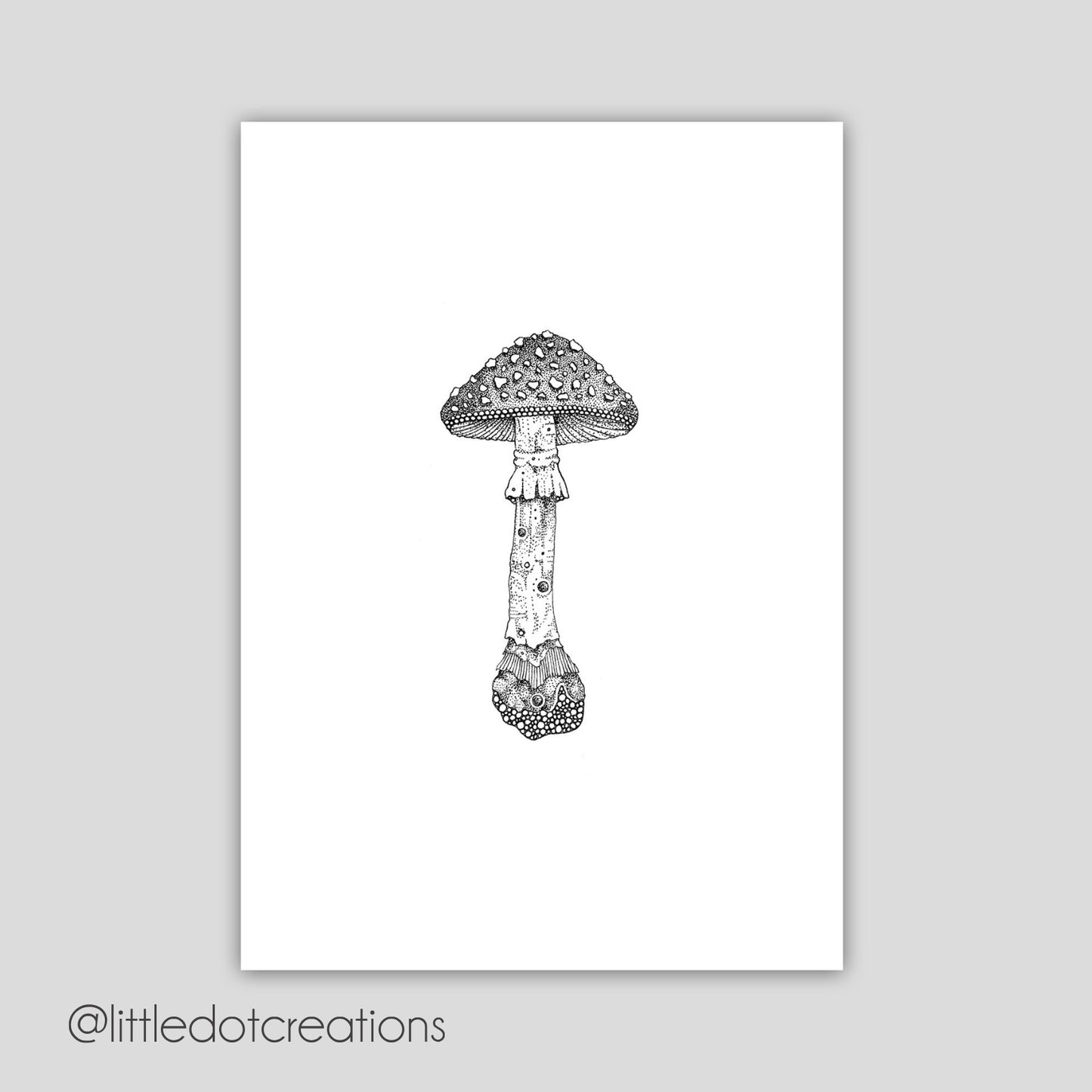 A6 Print - Fly Agaric Mushroom