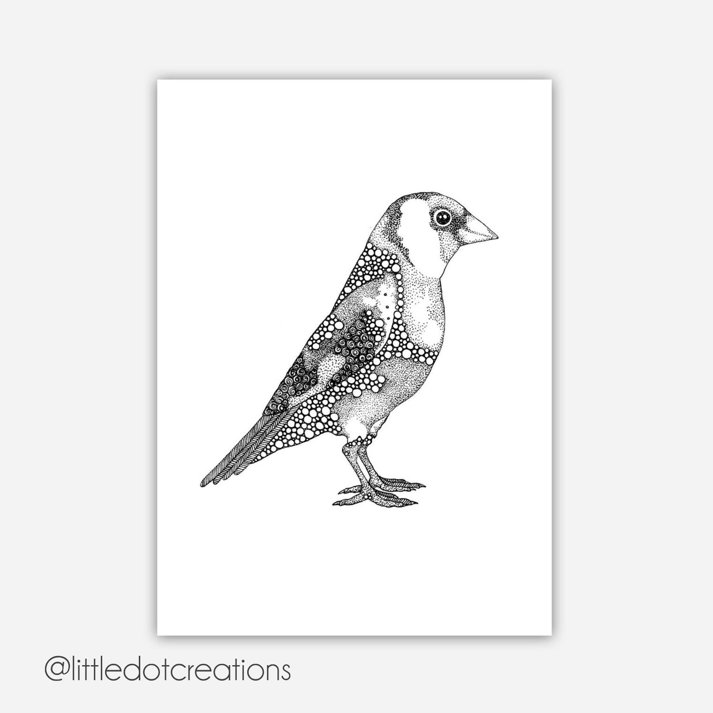 A6 Print - Goldfinch