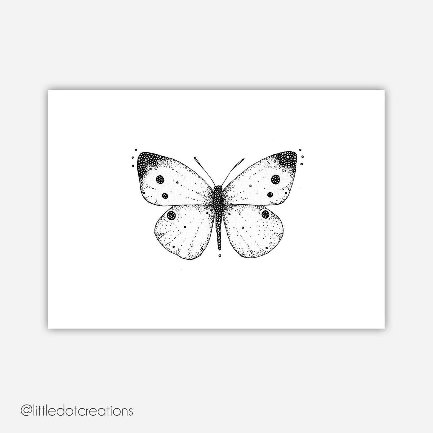 A6 Print - Cabbage White
