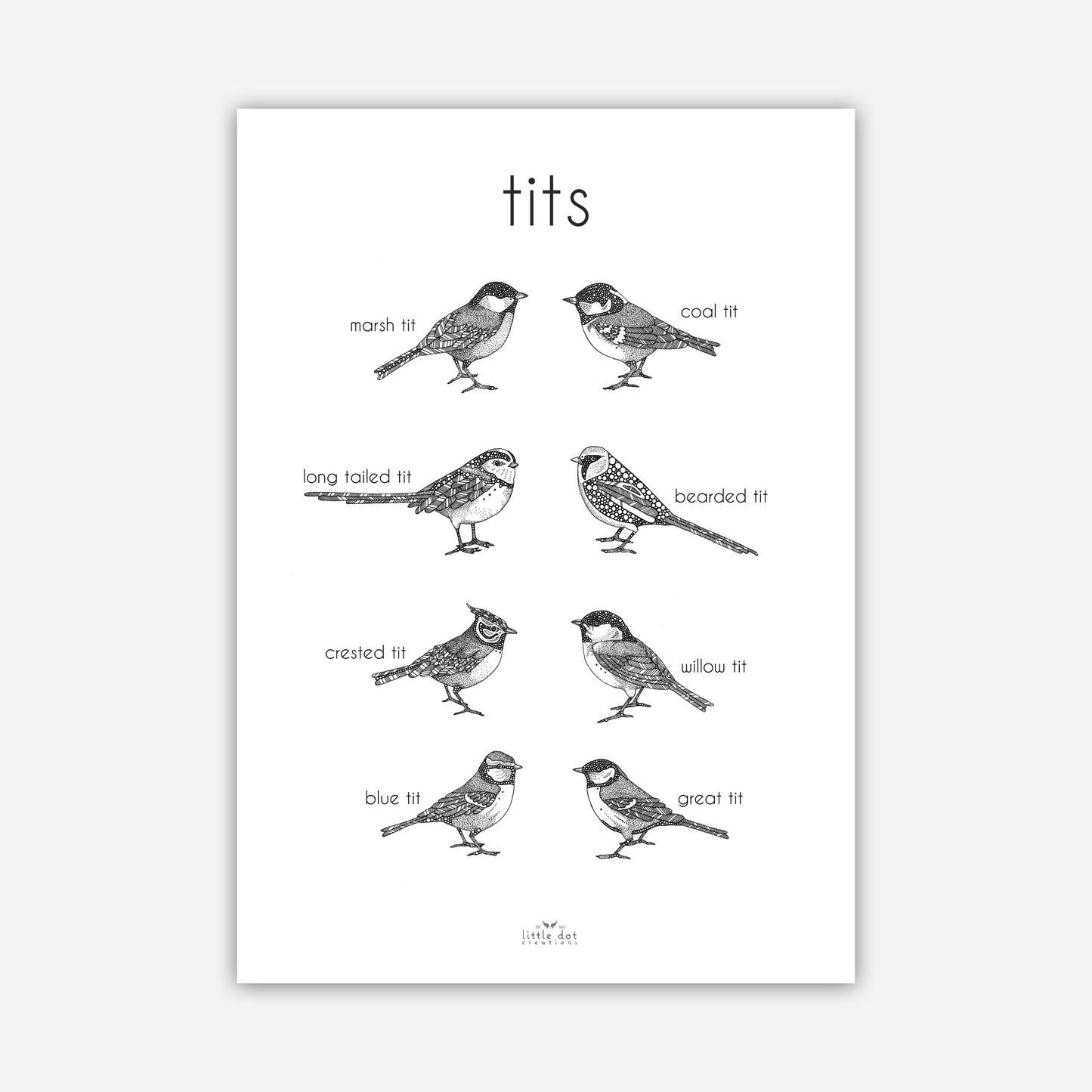 A3 Print - Tits