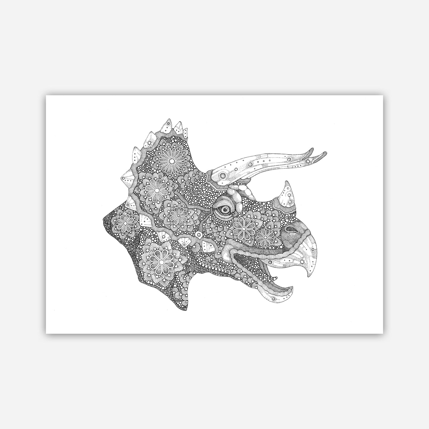 A3 Print - Triceratops