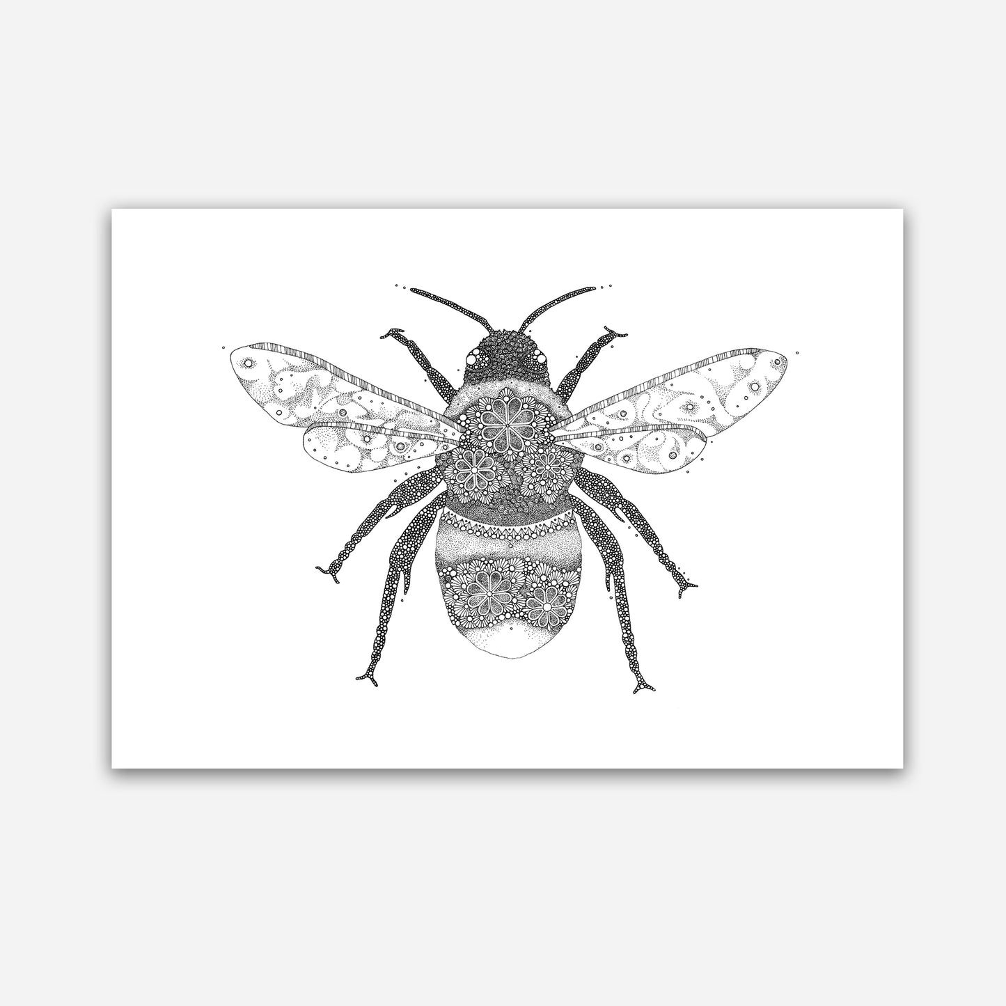 A3 Print - Bumble Bee