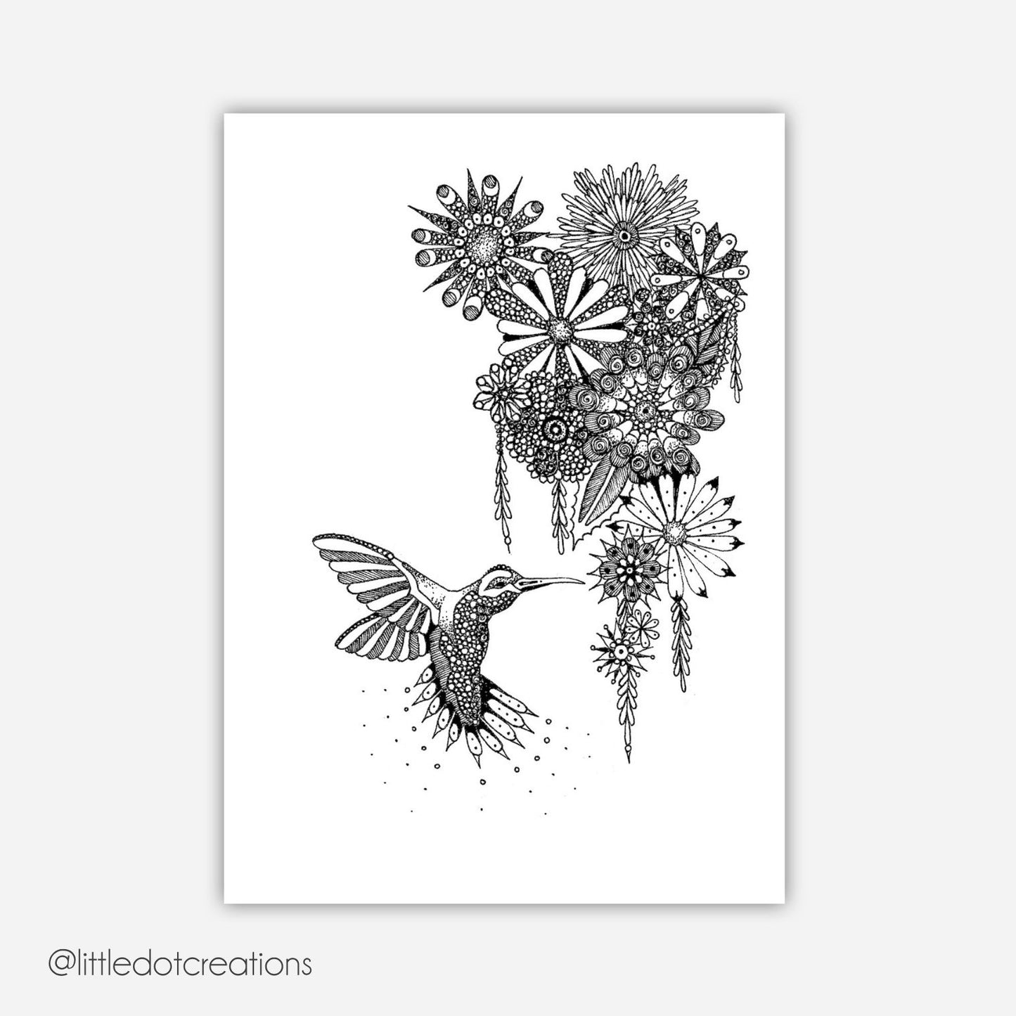 A6 Print - Hummingbird