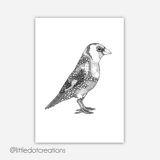 A6 Print - Goldfinch