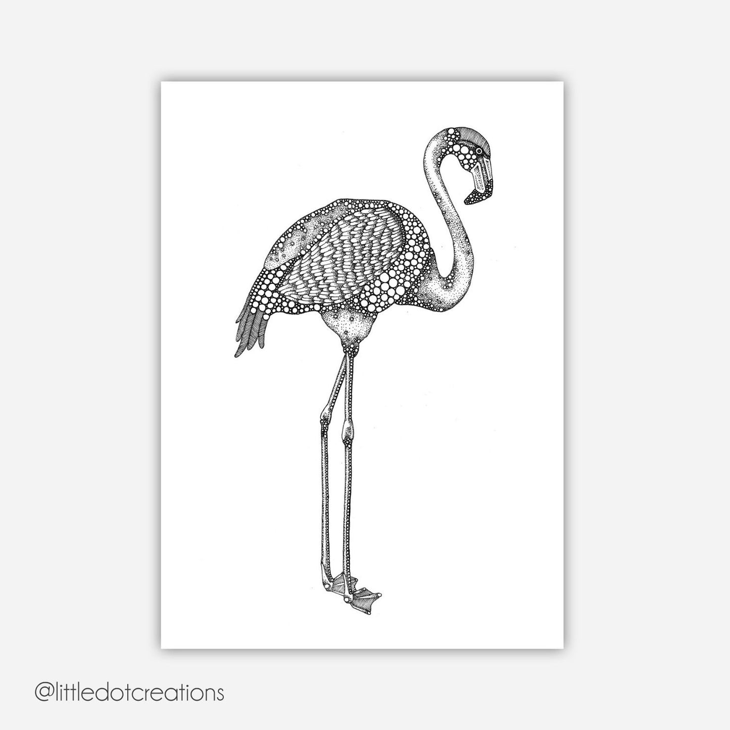 A6 Print - Flamingo