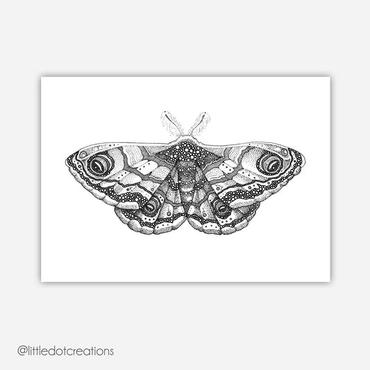 A6 Print - Emperor Moth