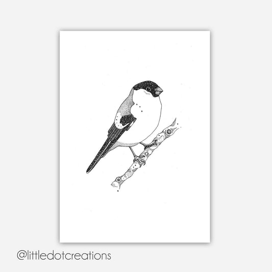 A6 Print - Bullfinch