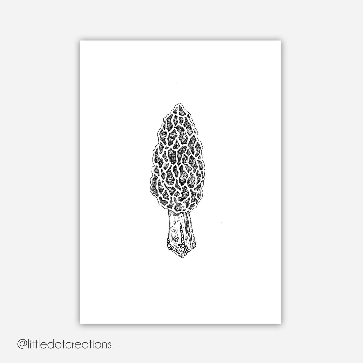 A6 Print - Morel Mushroom