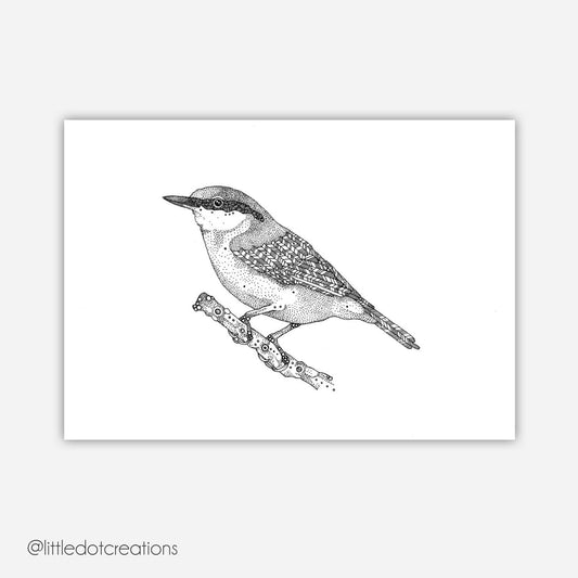 A6 Print - Nuthatch