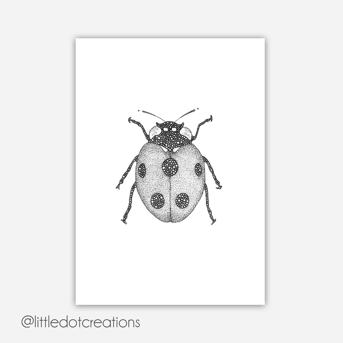 A6 Print - Ladybird