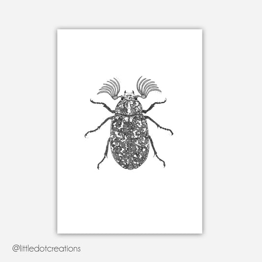 A6 Print - Junebug