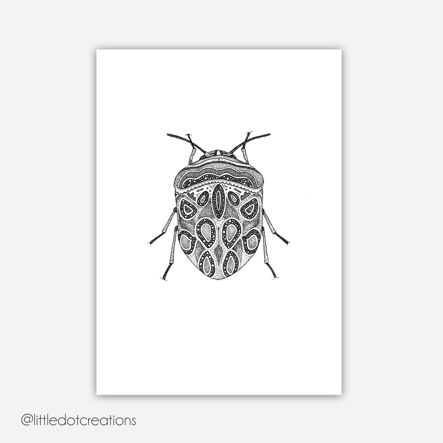 A6 Print - Picasso Bug