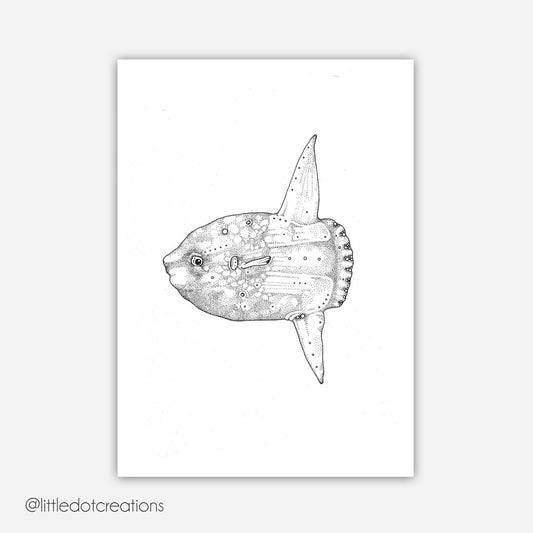A6 Print - Sunfish