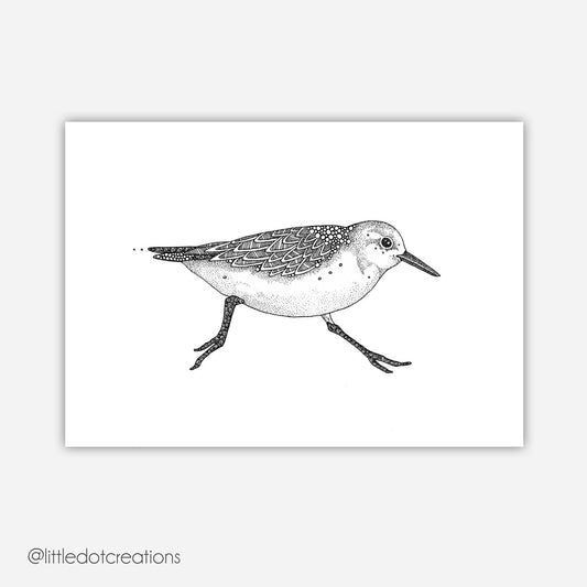 A6 Print - Sandpiper