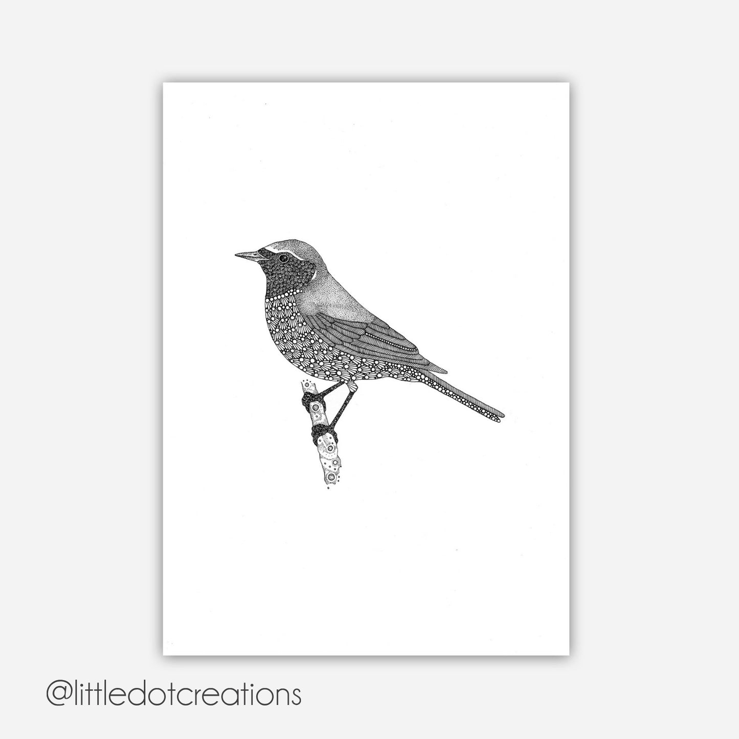 A6 Print - Redstart