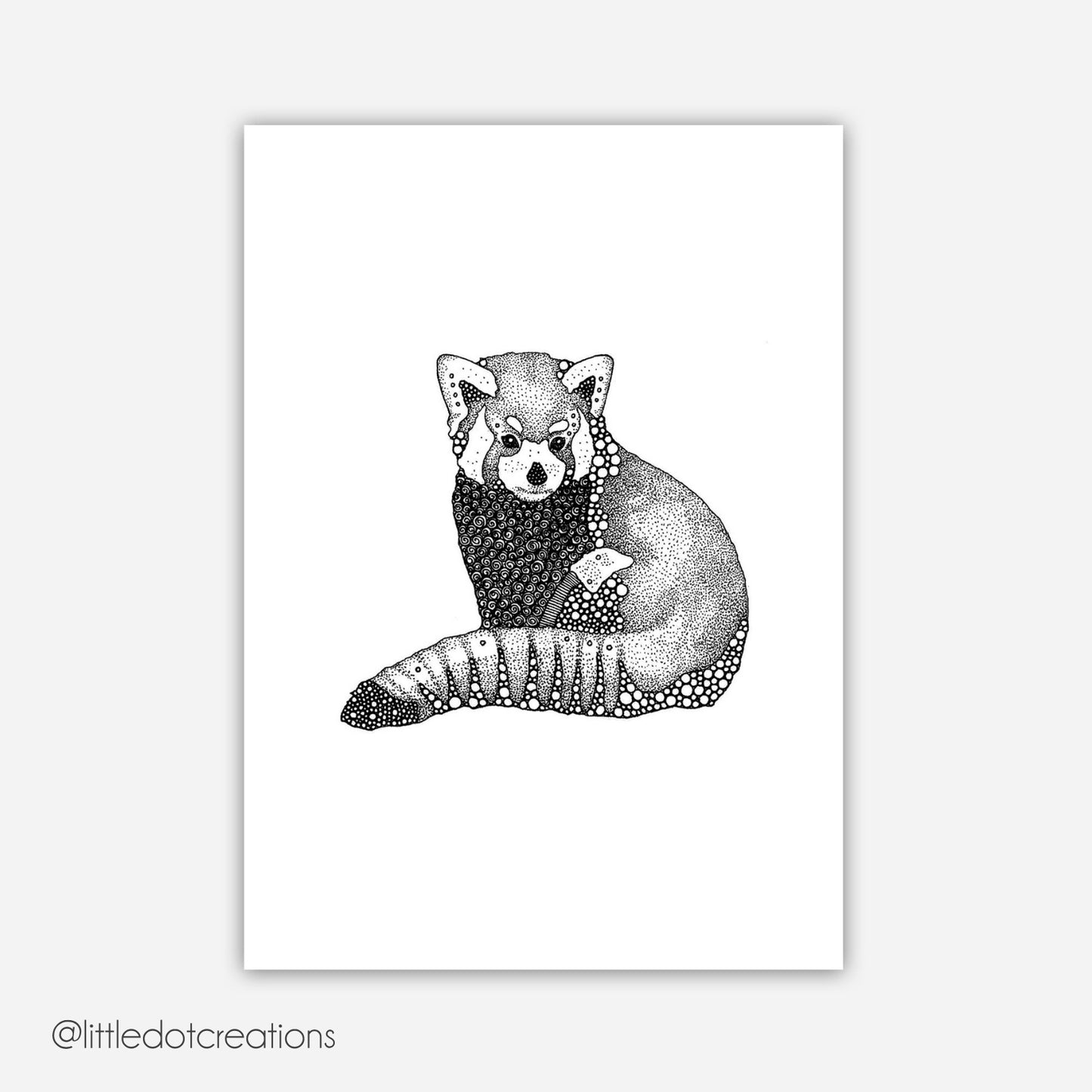 A6 Print - Red Panda