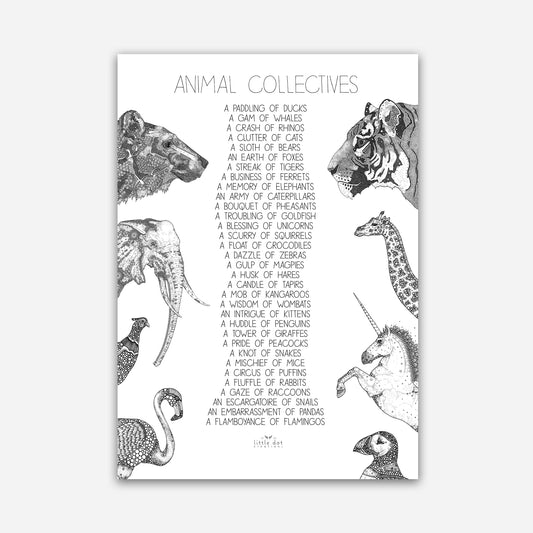 A3 Print - Animal Collectives