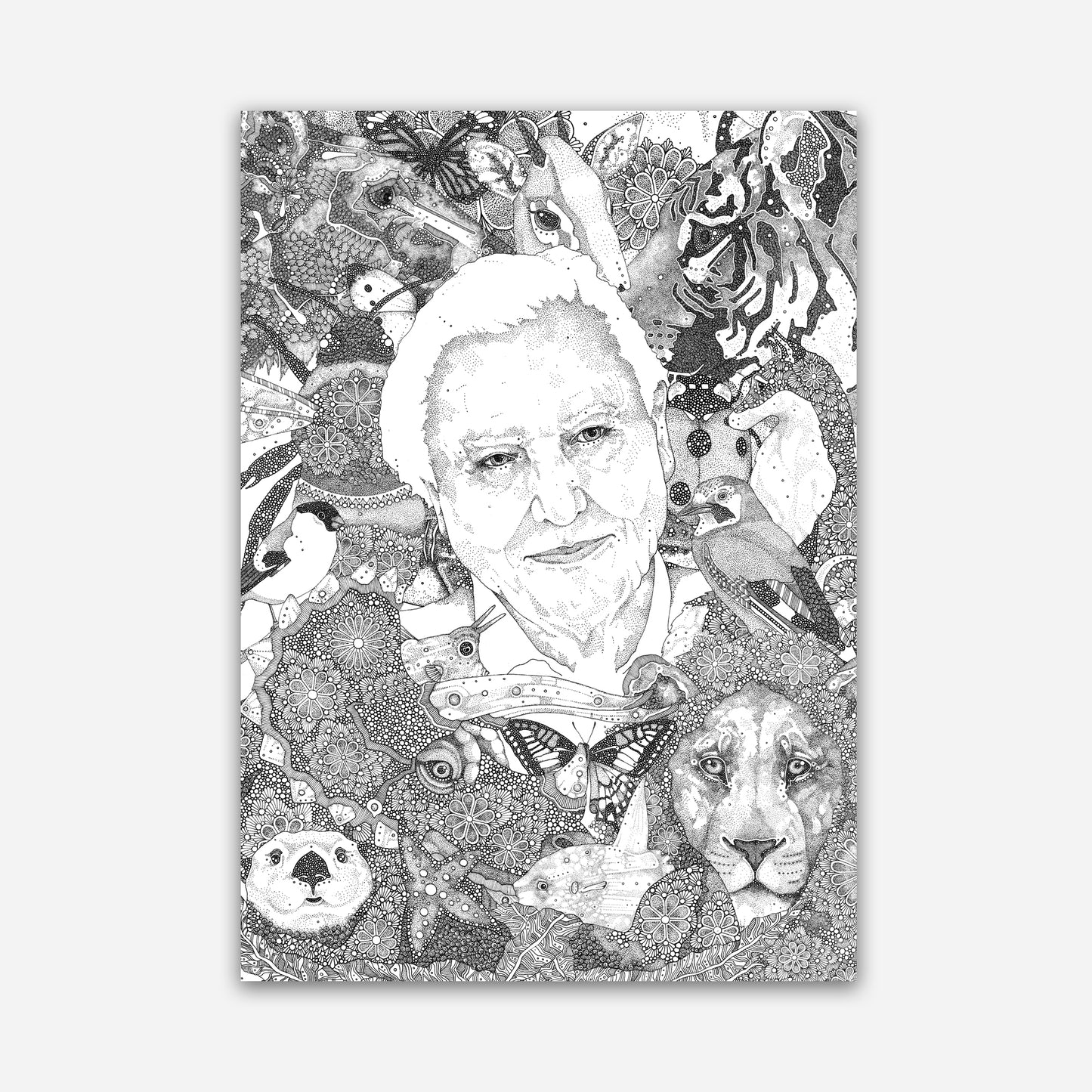 A3 Print - David Attenborough