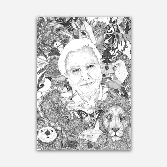 A3 Print - David Attenborough