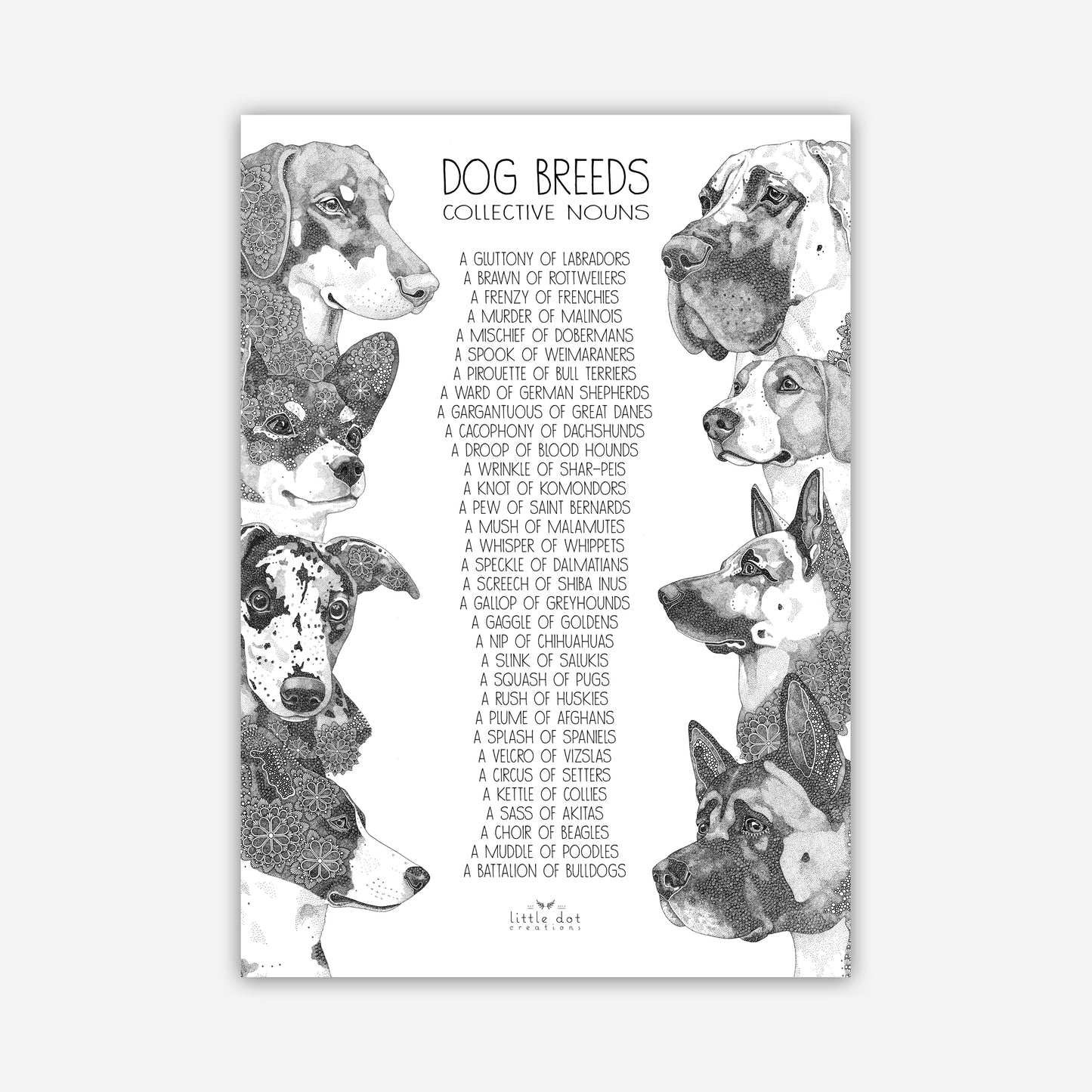 A3 Print - Dog Breed Collective Nouns