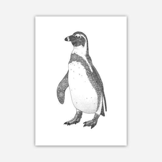 A3 Print - Jackass Penguin