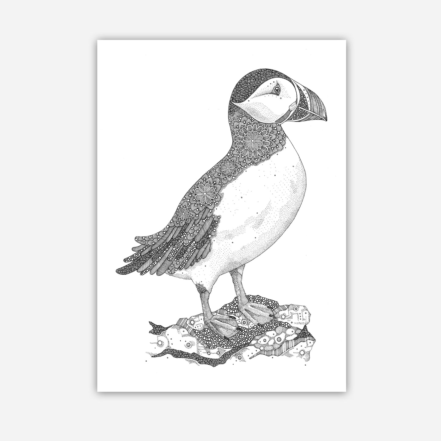 A3 Print - Puffin