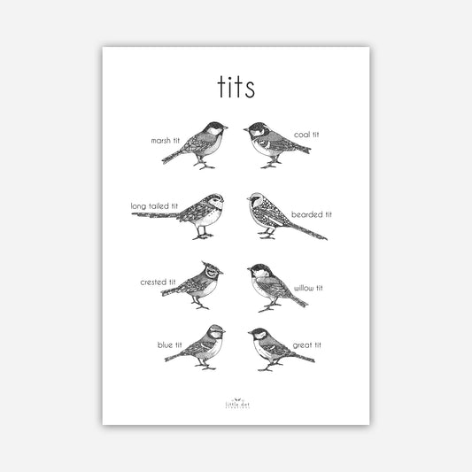 A3 Print - Tits