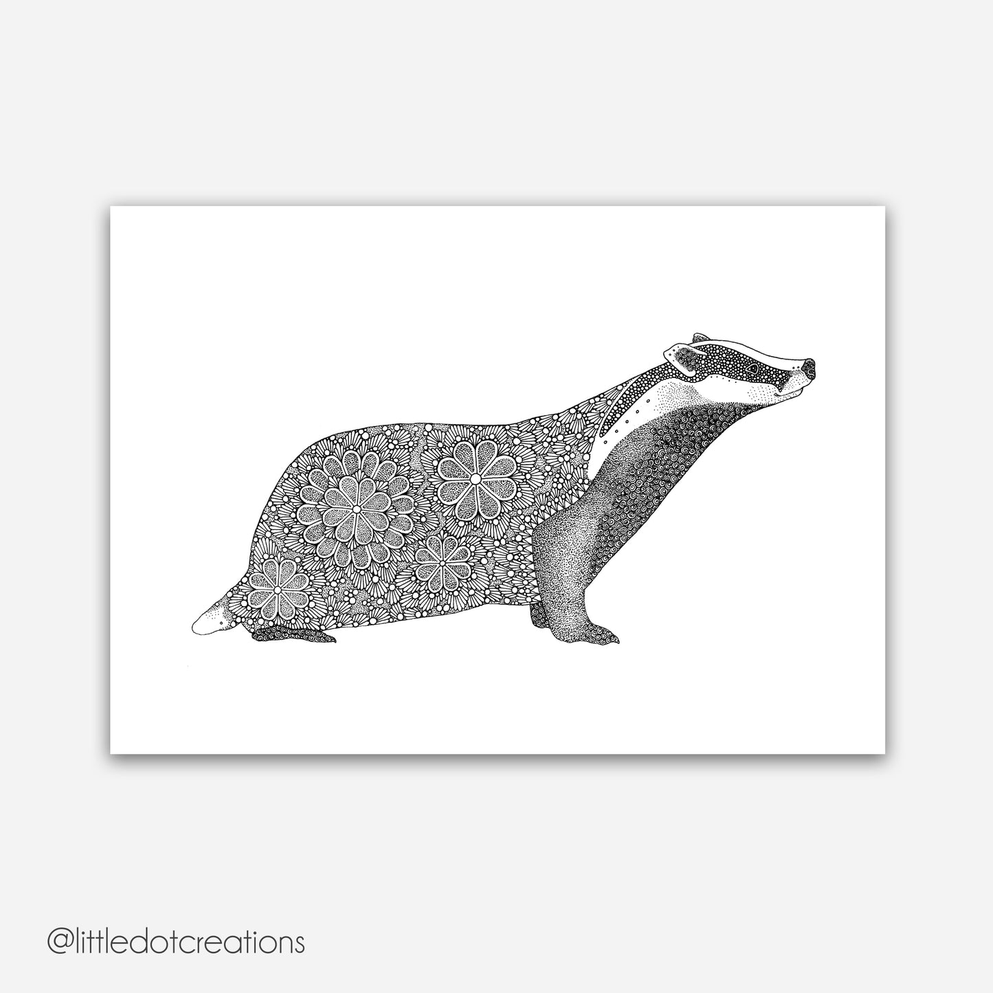 A4 Print - Badger