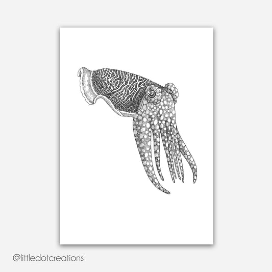 A4 Print - Cuttlefish