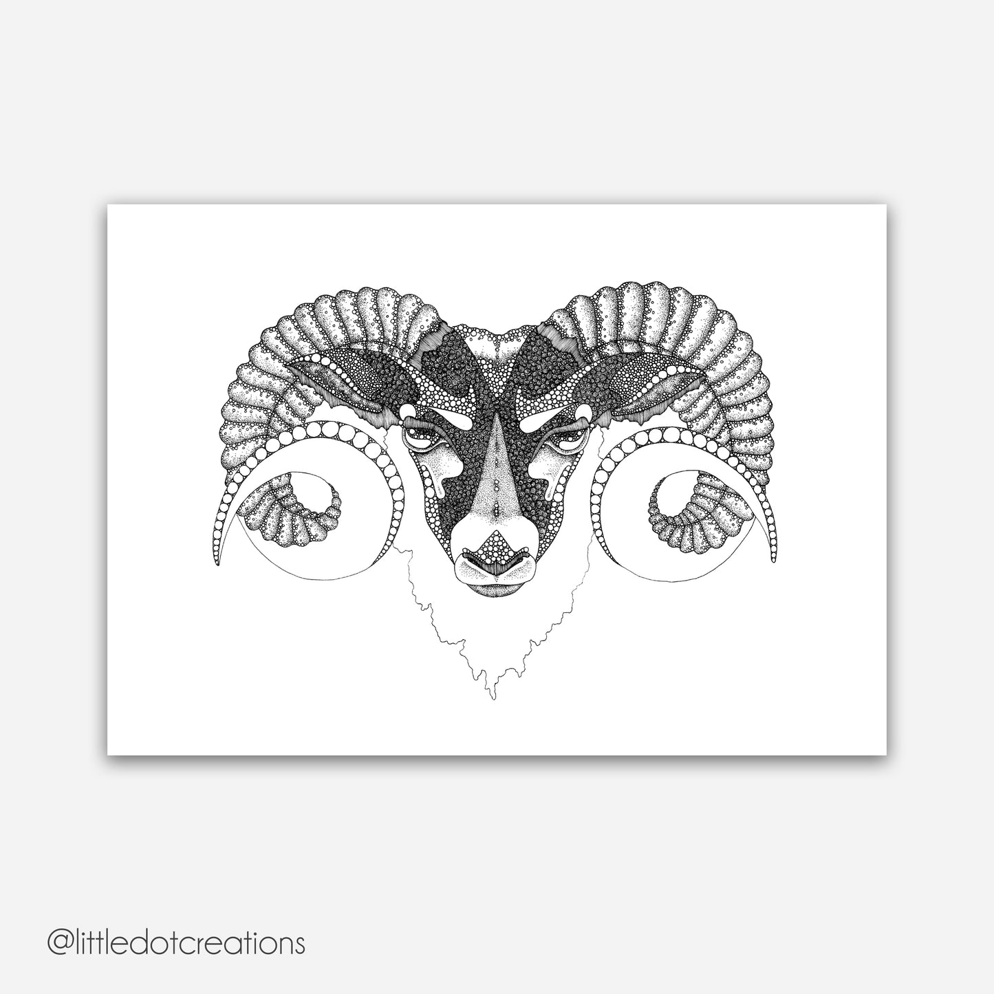 A4 Print - Black Faced Sheep