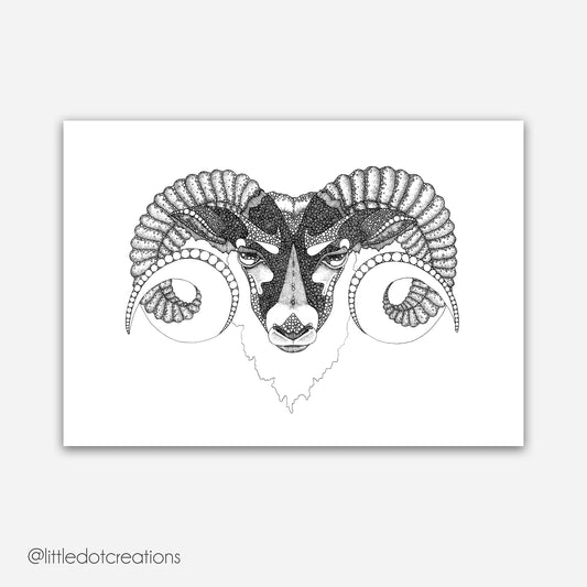 A4 Print - Black Faced Sheep