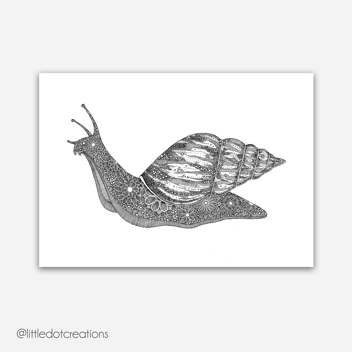 A4 Print - Snail