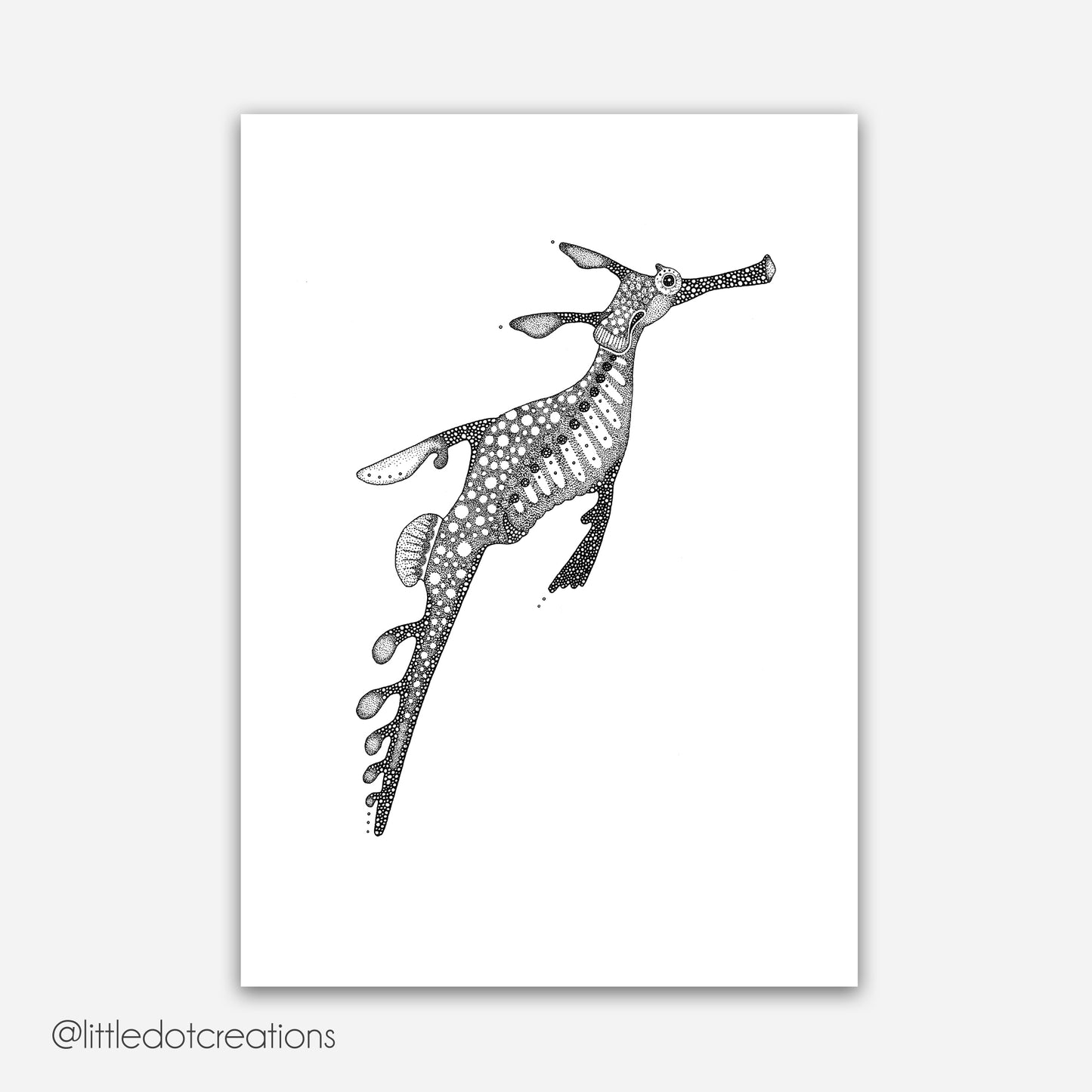 A4 Print - Weedy Sea Dragon