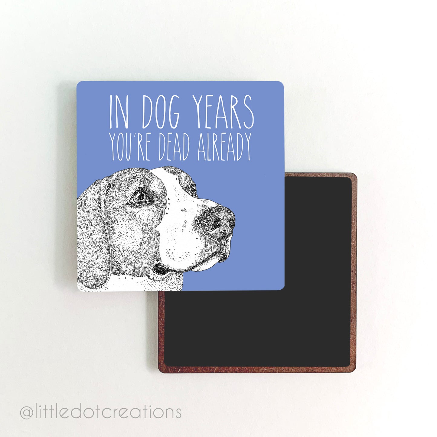 Magnet - Dog Years