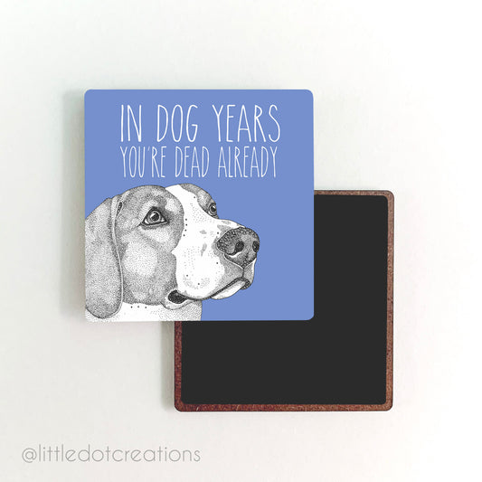 Magnet - Dog Years